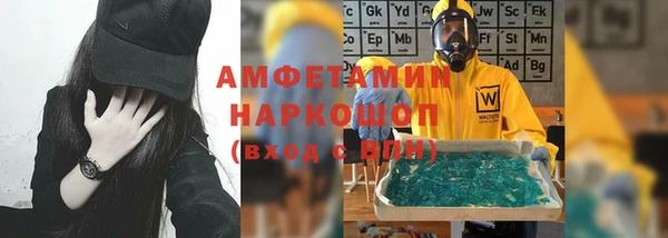 ГАЛЛЮЦИНОГЕННЫЕ ГРИБЫ Строитель