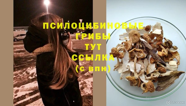 бутик Тайга