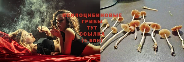 бутик Тайга