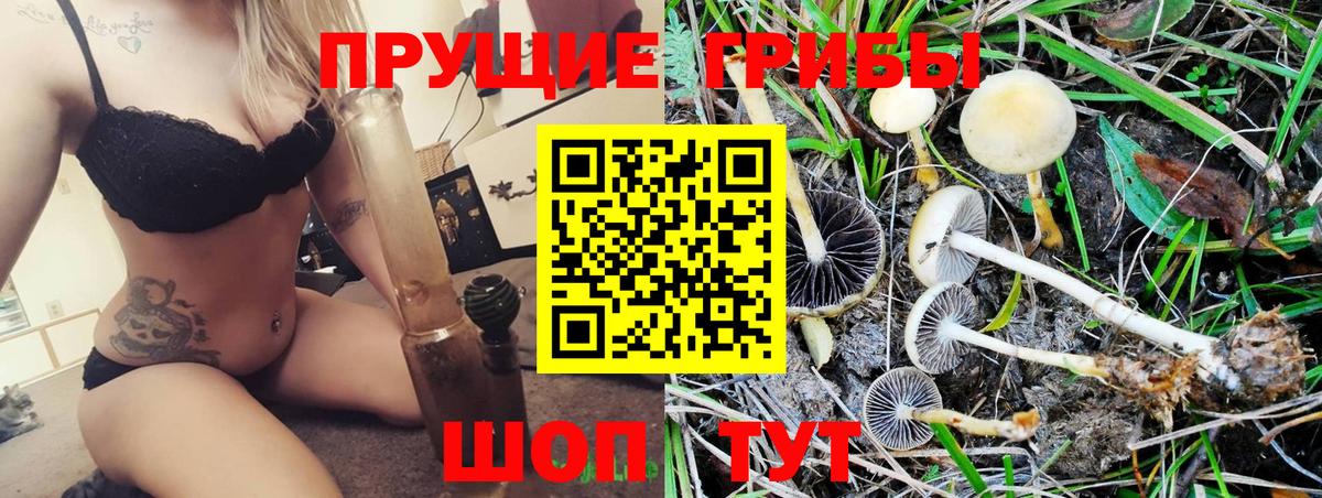 Находка  Галлюциногенные грибы мицелий  Вход с VPN 